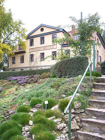 Botanischer Garten - Thüringen (Jena)