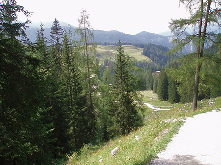 Wanderweg - Bayern