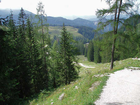 Wanderweg - Bayern