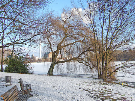 Wald mit Schnee - Berlin (Berlin)