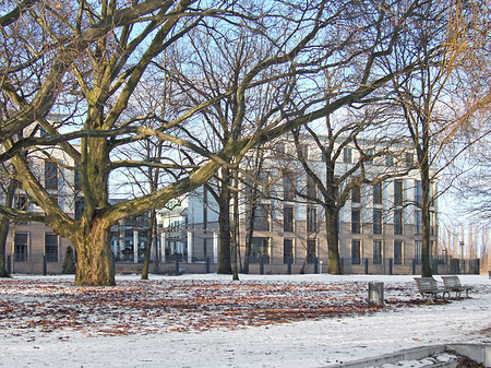 Wald mit Schnee - Berlin (Berlin)