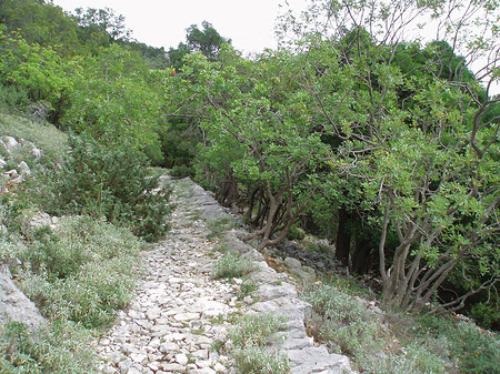 Felsiger Weg - Istrien