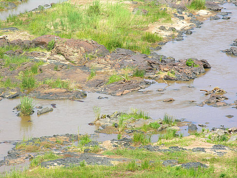 Fluss in Olifants - Limpopo (Olifants)