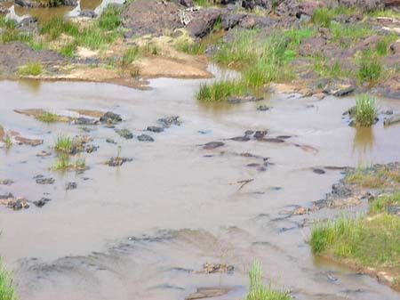 Fluss in Olifants - Limpopo (Olifants)