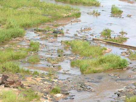 Fluss in Olifants - Limpopo (Olifants)