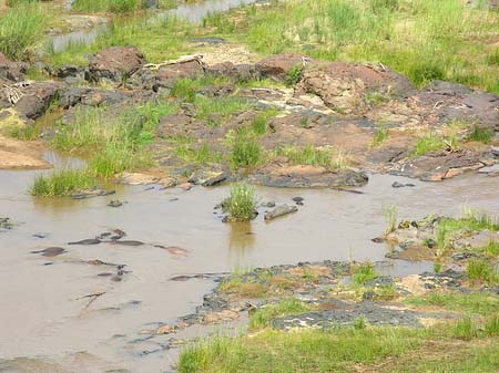 Fluss in Olifants - Limpopo (Olifants)