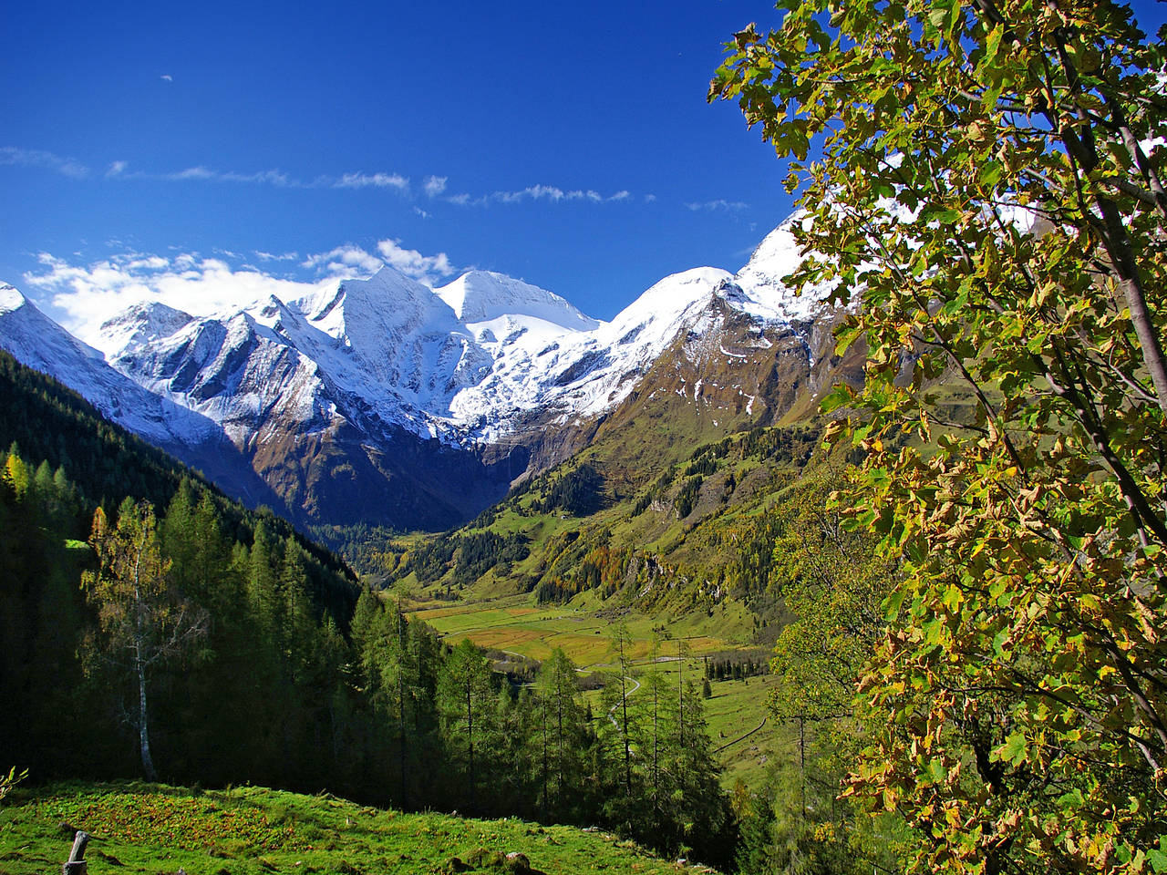 Berg Großglockner Foto 